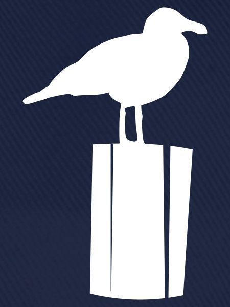 Möwe sitzend