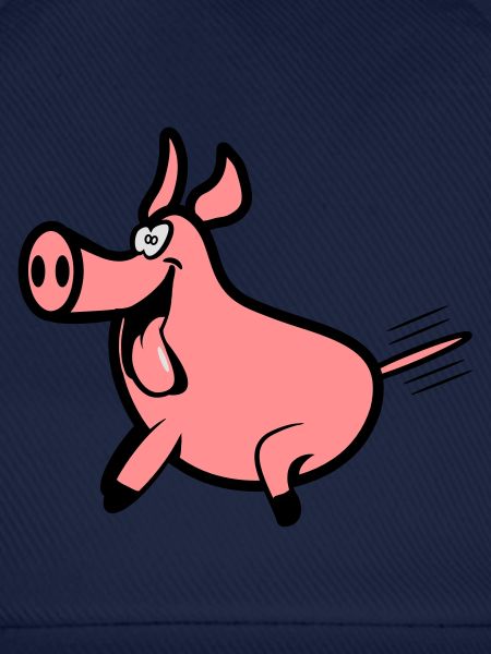 Schwein freude
