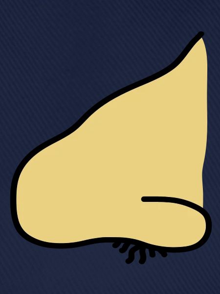 nose