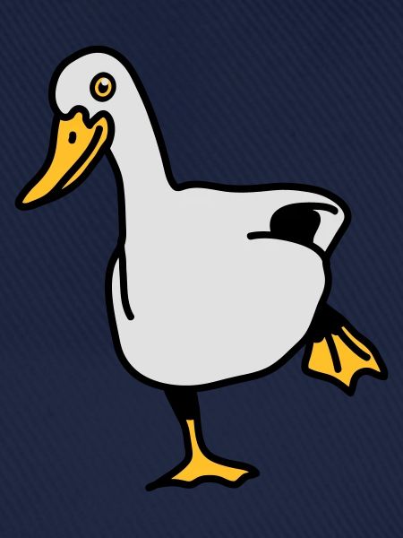 duck