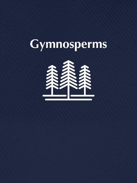 Gymnospermen