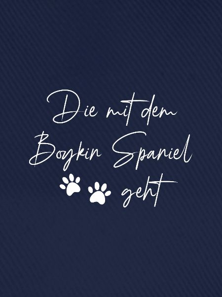 Boykin Spaniel