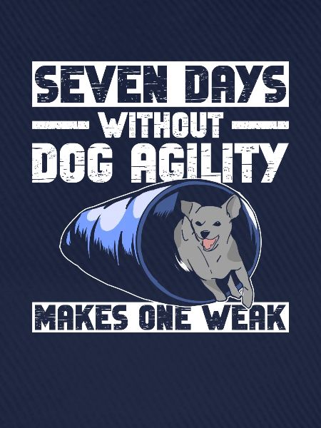 Hunde-agility-trainer-design Für