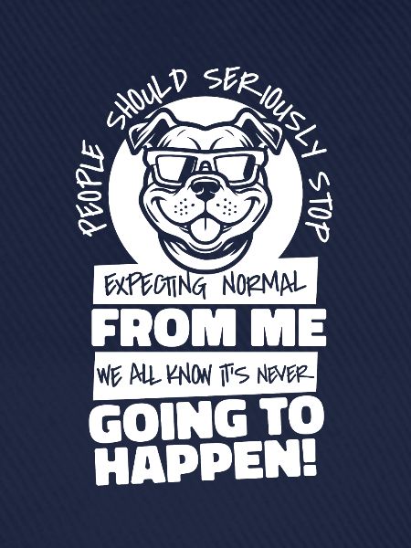 American Bully