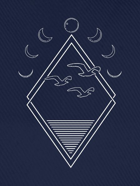 Möwe Moon Phases