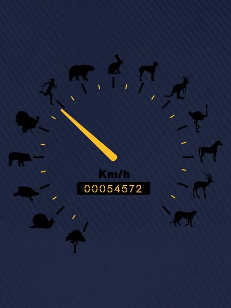 tachometer