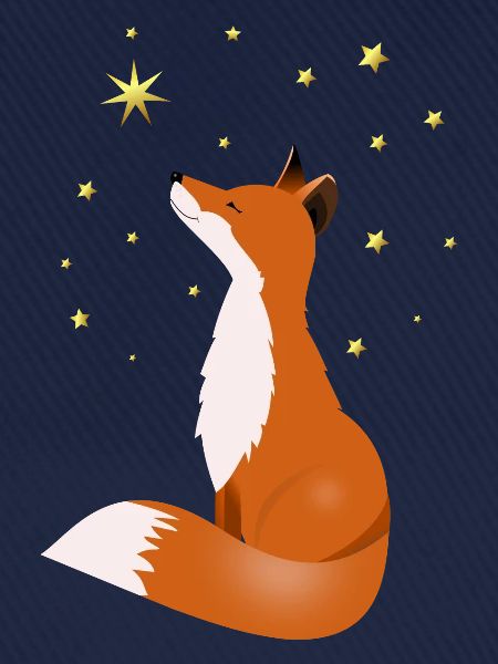 Fuchs in der Nacht
