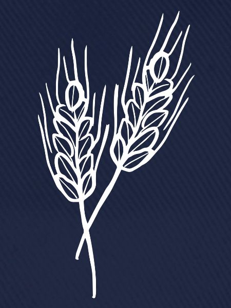 Weizen Illustration Brotbäcker Geschenkidee