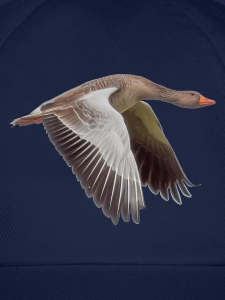 Gans