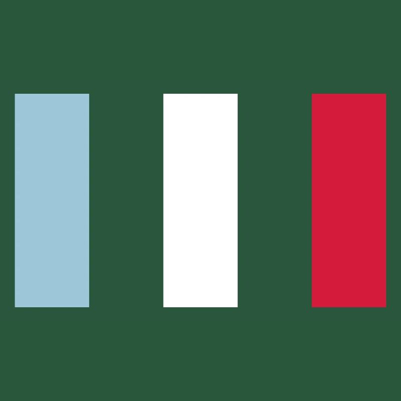 Flag - Stripes VECTOR