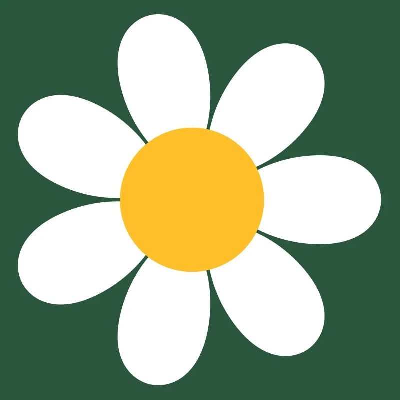 Gänseblümchen Blume