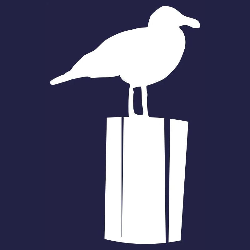 Möwe sitzend