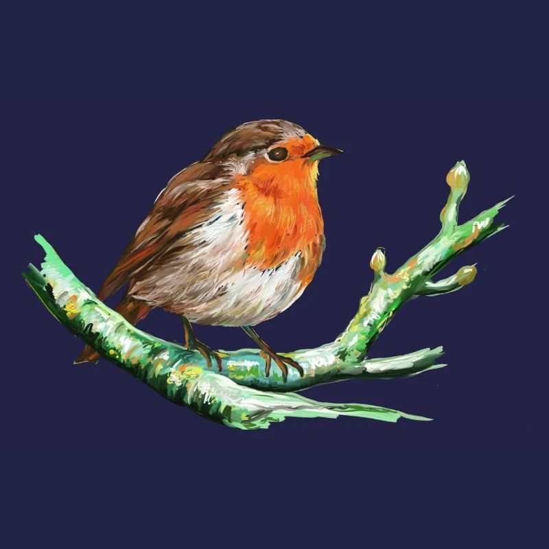 Oiseau - Rouge Gorge