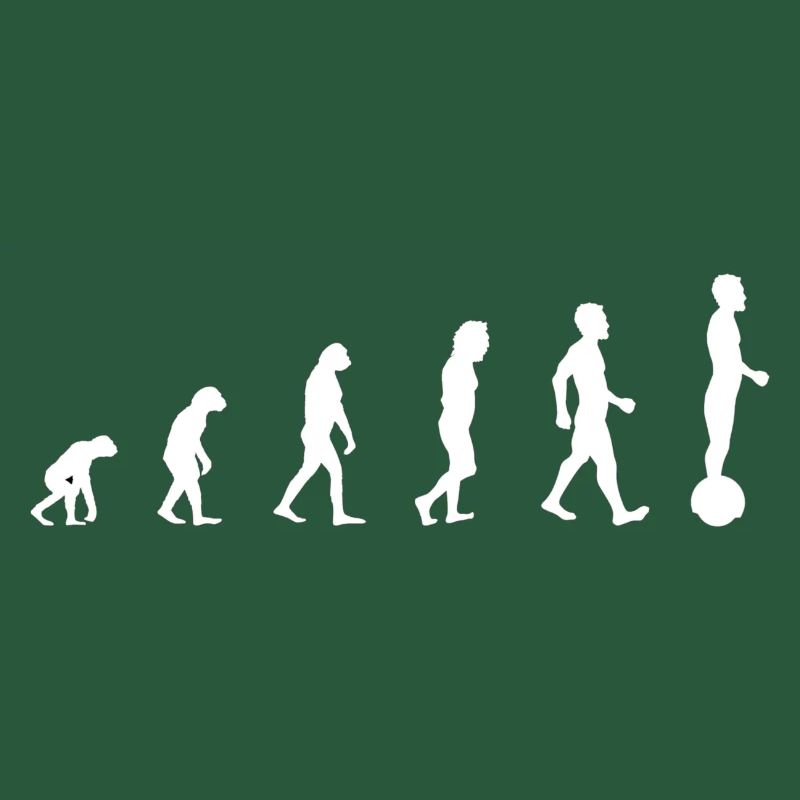 Gyrowheel evolution