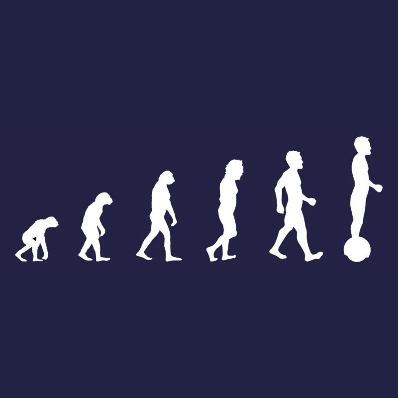 Gyrowheel evolution