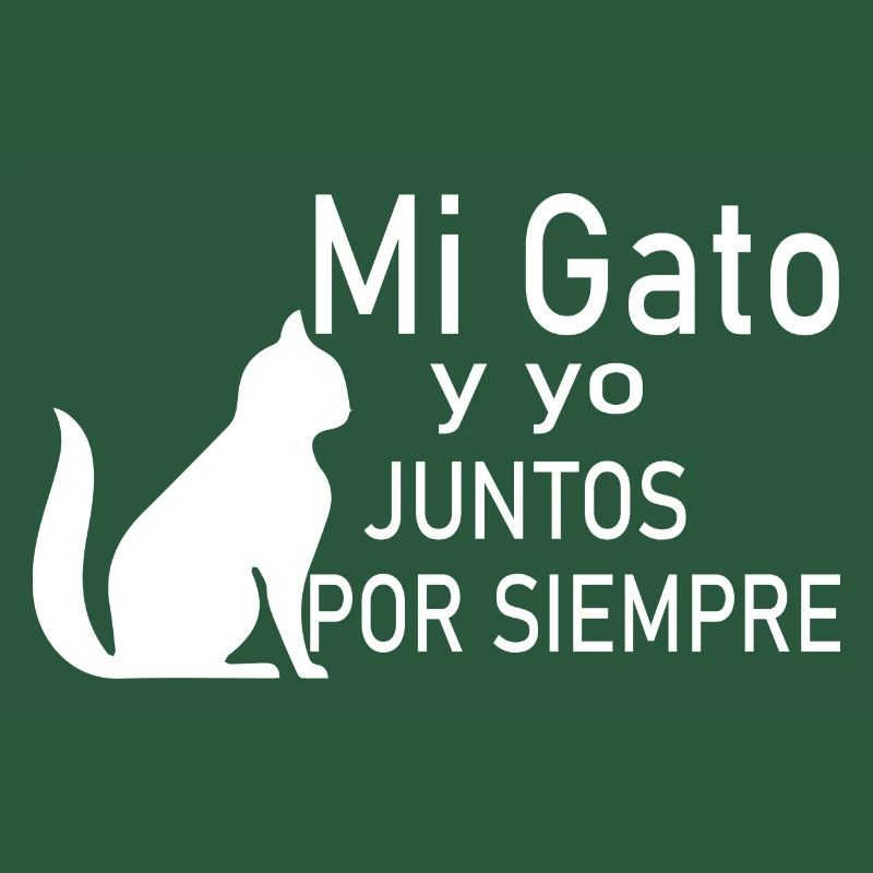 Chat Katze
