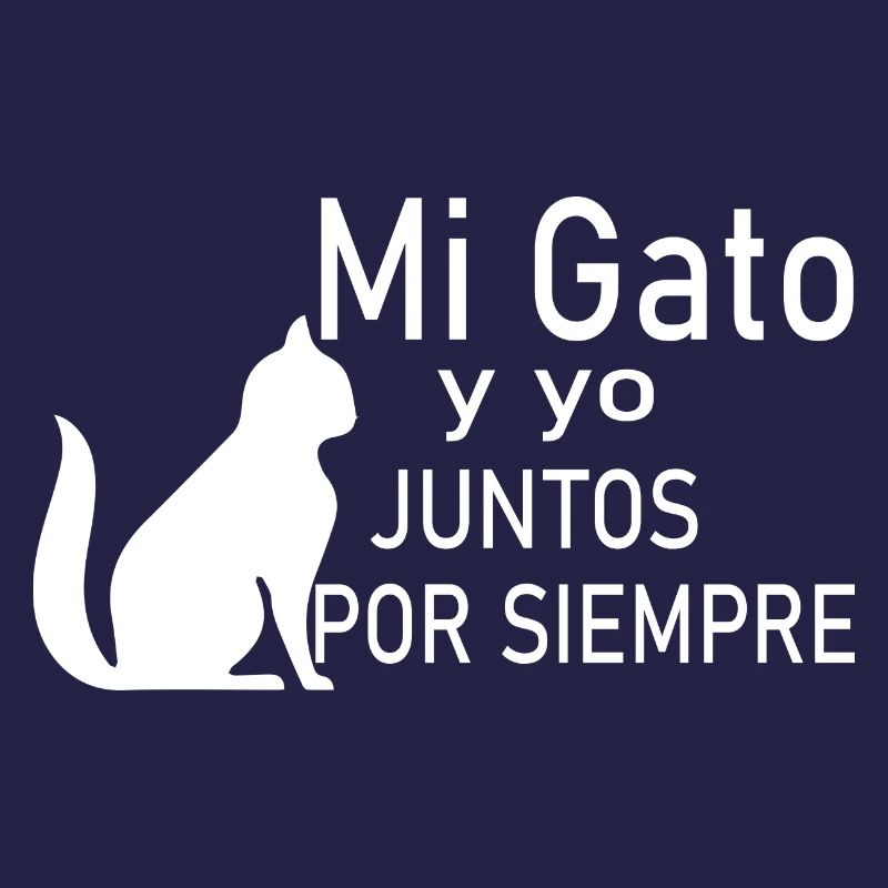 Chat Katze