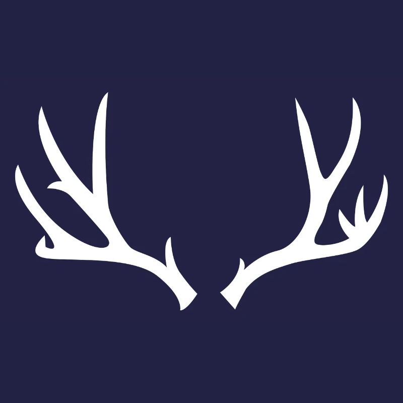 Chasse et bois