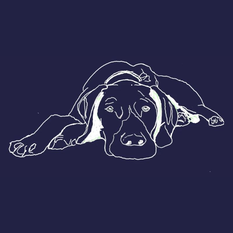 Pointer German Shorthair