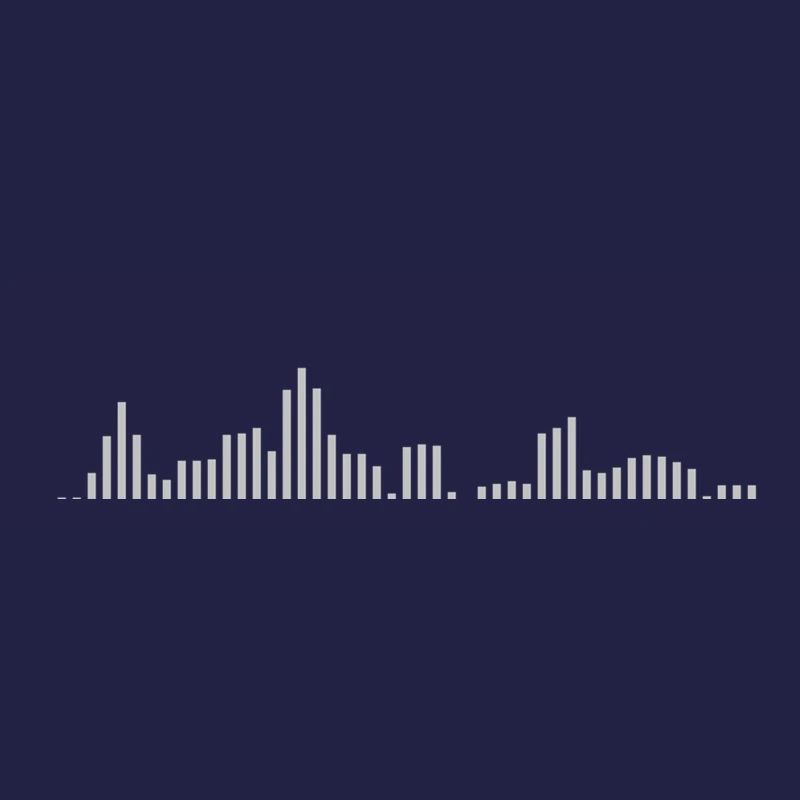 Visualizer