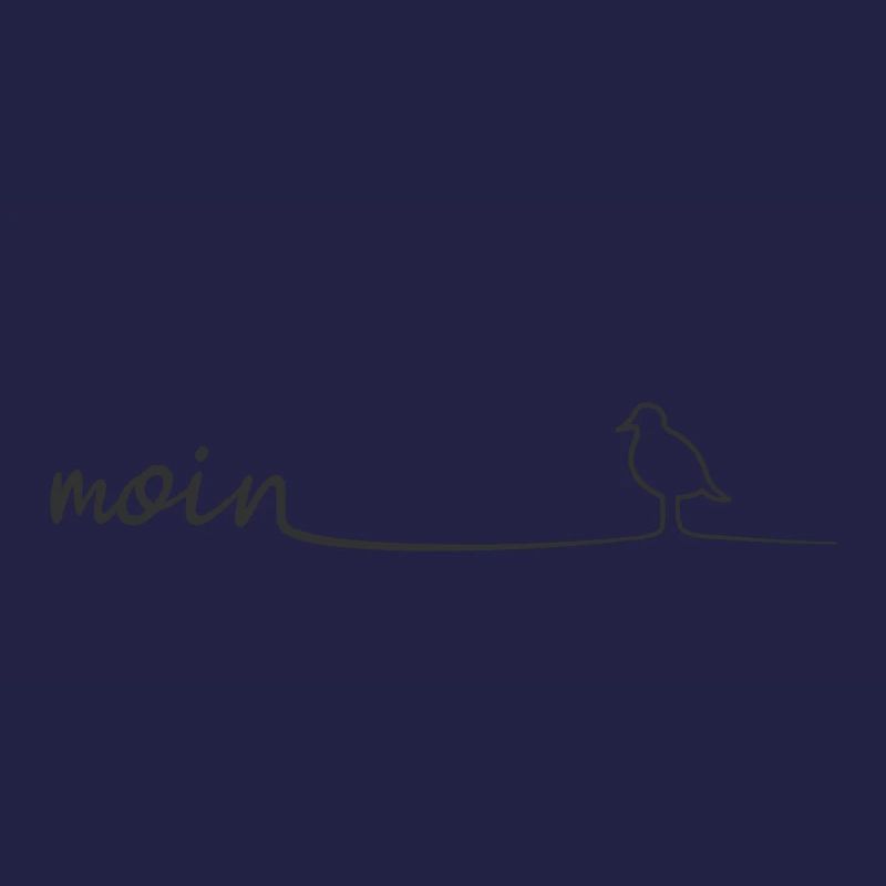 MOIN Moewe