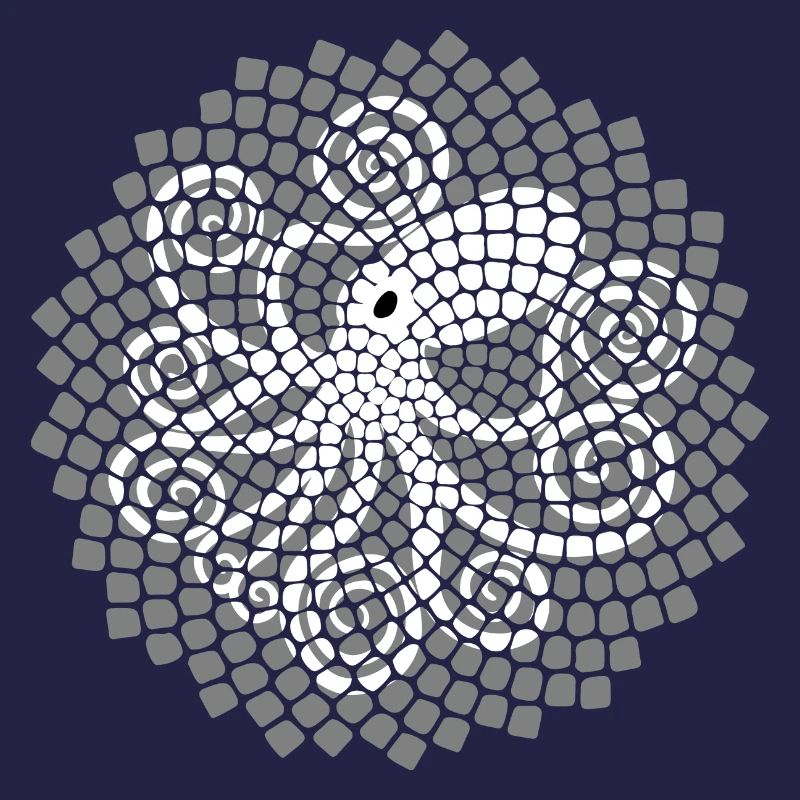 Fibonacci Squid