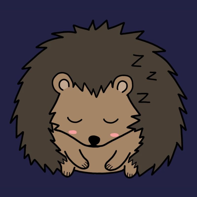 Schlafender Igel