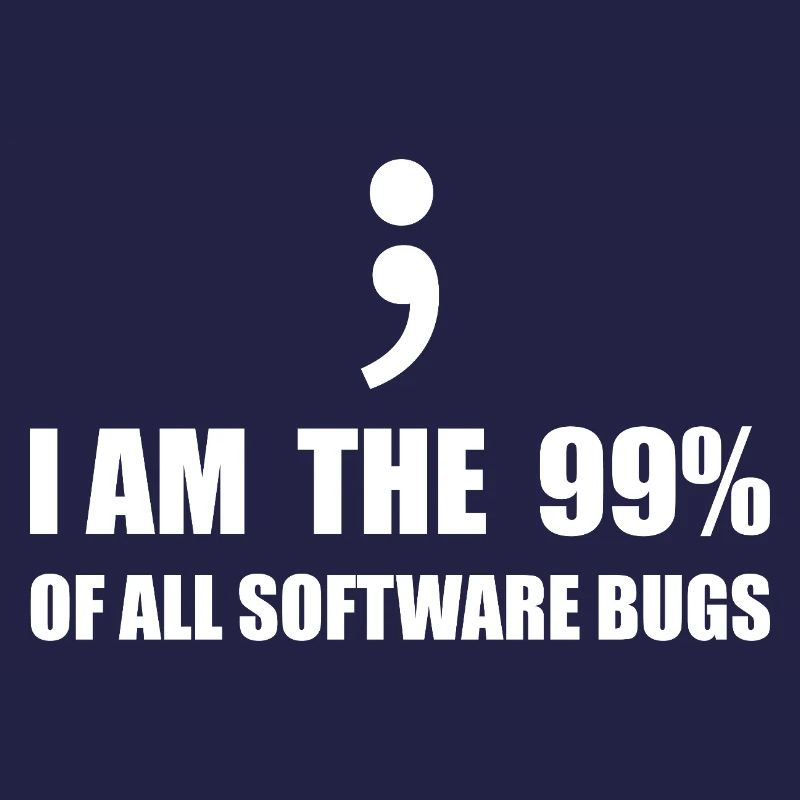 Programmeur Computer Scientist