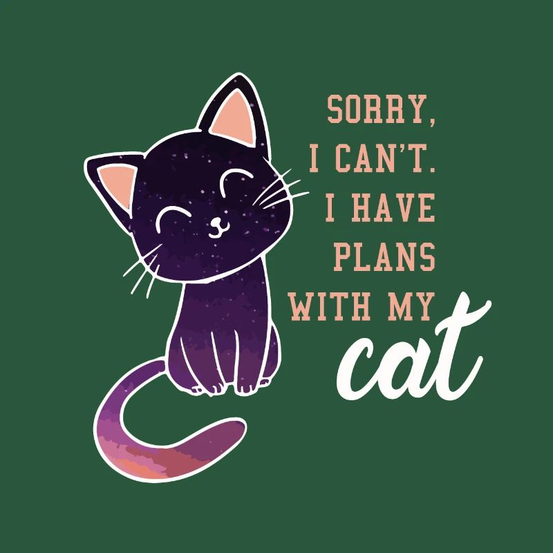 Doux cadeau de chat au clair de lune