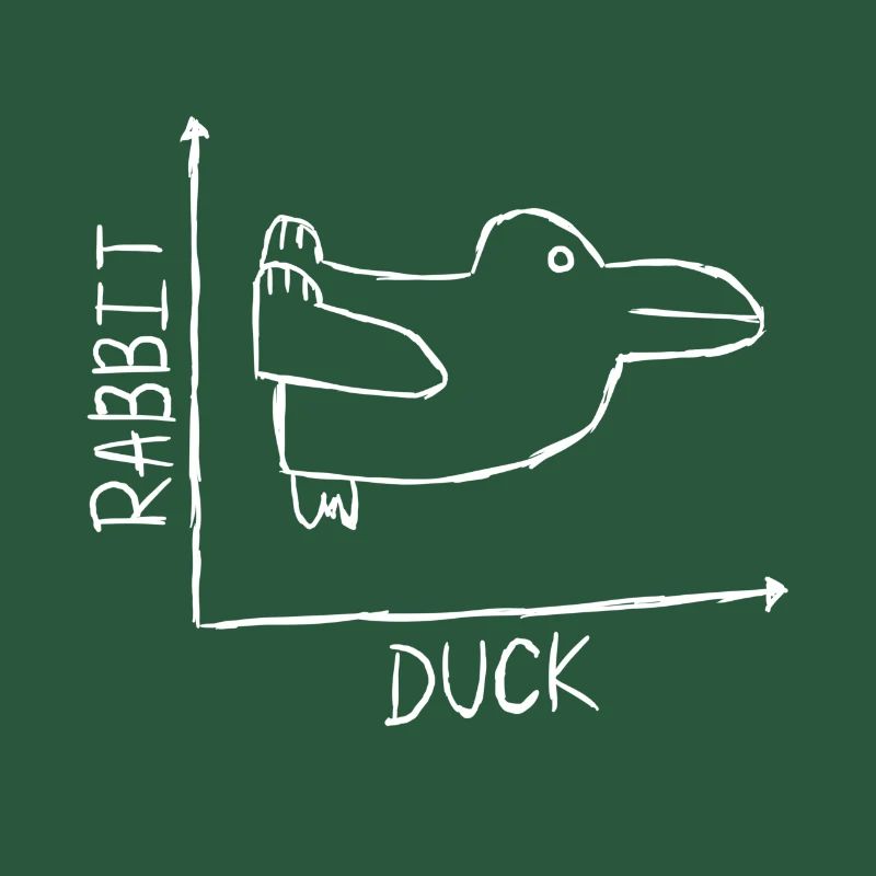 Rabbit Duck