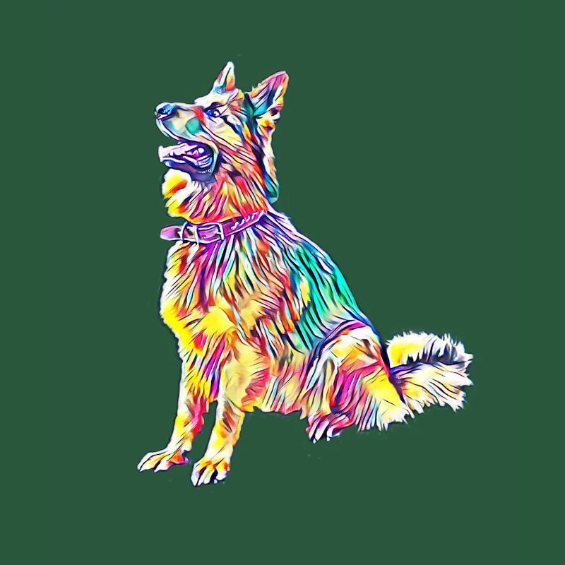 Schäferhund