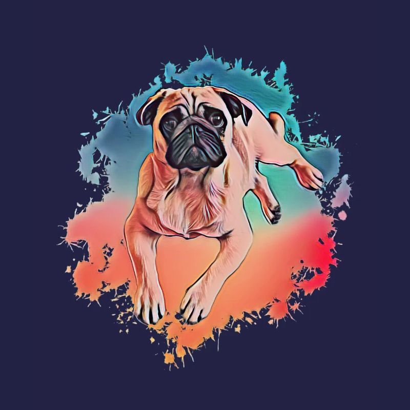 Mops