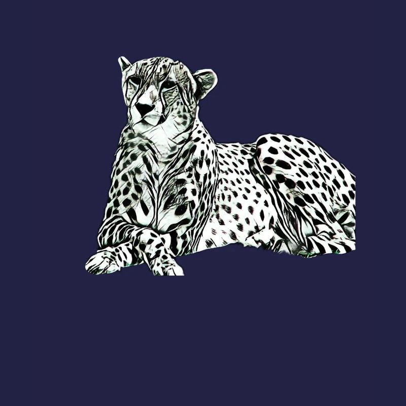 Cheetah