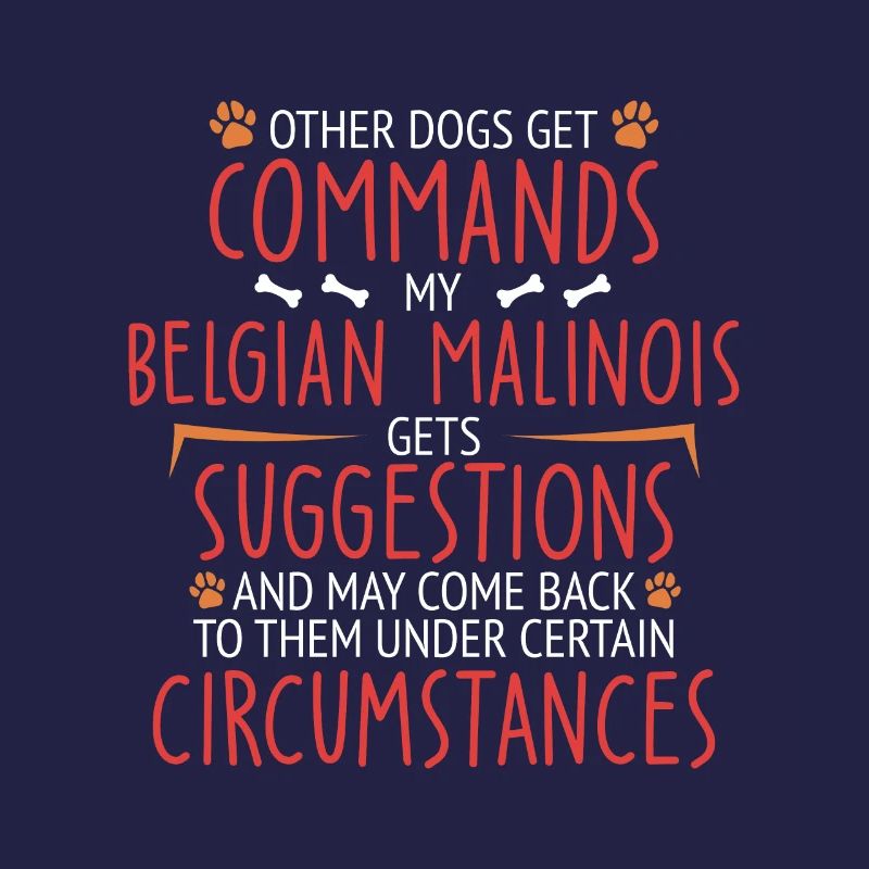 Belgian Malinois Commands Belgian Shepherd