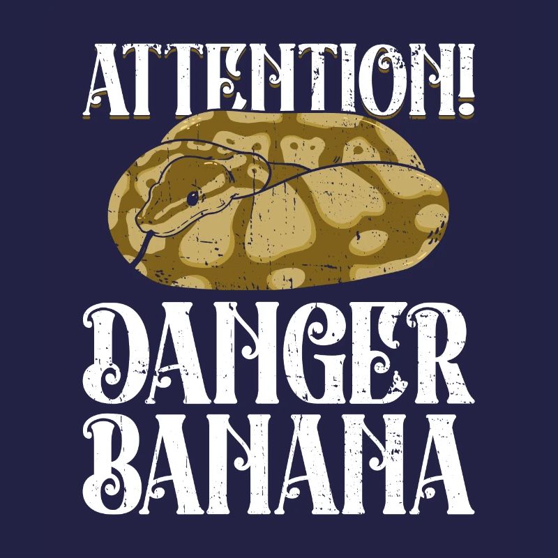 Königspython Banane Königspython Schlange