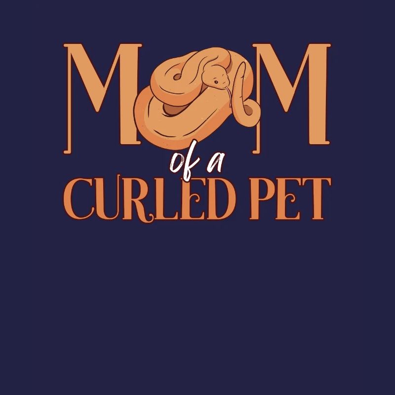 Königspython Mutter Banana Ball Python Mama