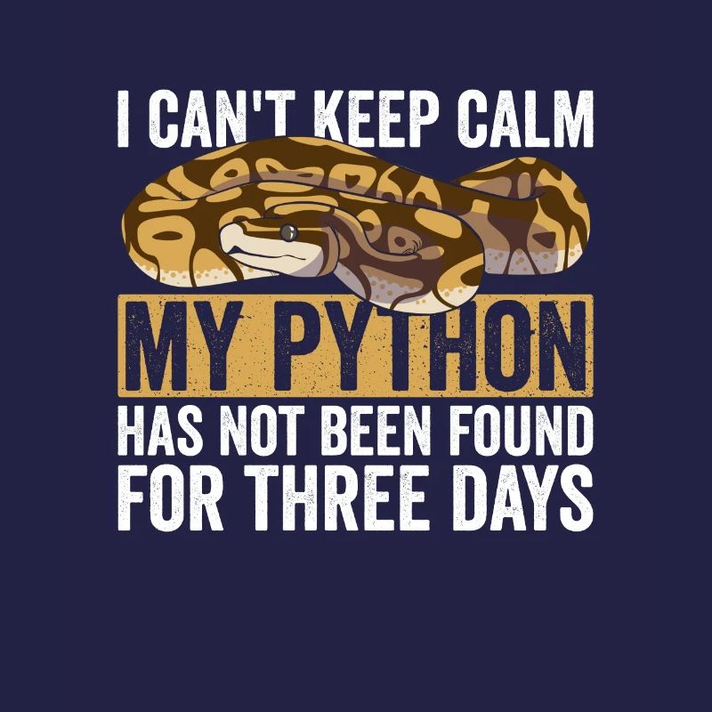 Königspython Bananenkugel Python