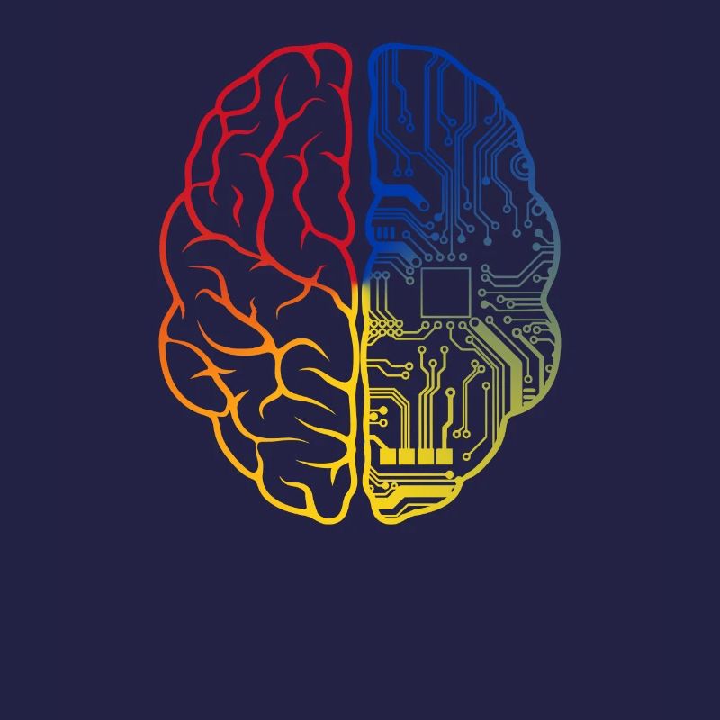 Programmeur HTML - Développeur Programmation Brain Fun