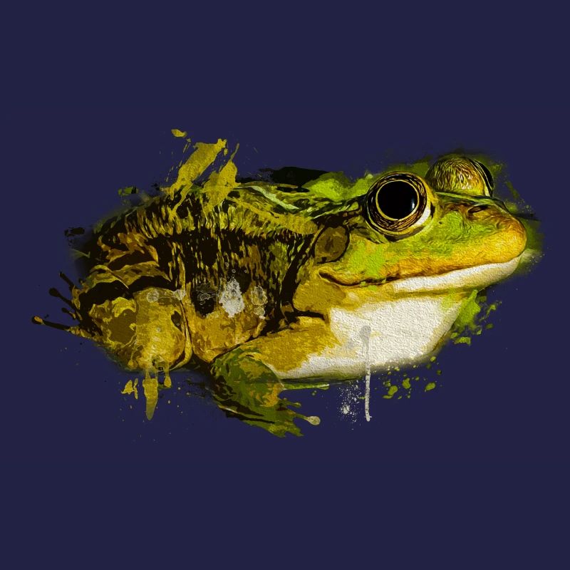 Frogs, Toad, Tree Frog, Frog