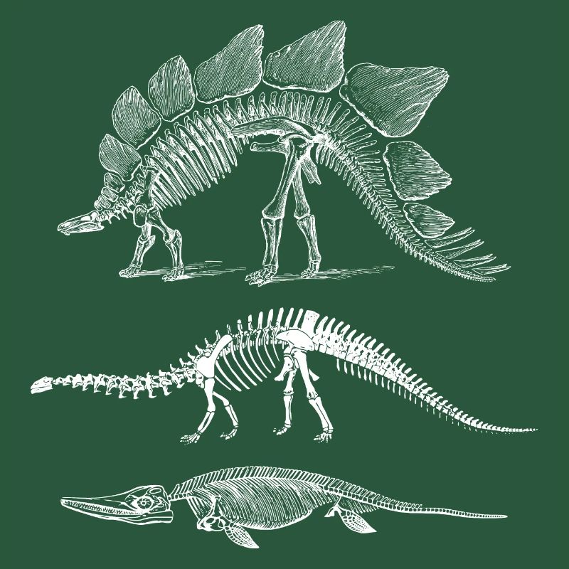 Dinosaur evolution