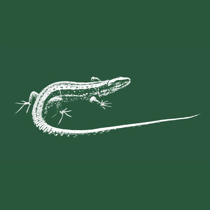 Eidechse / Lizard