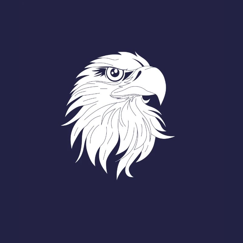 Bird of Prey Head Predator Eagle Falcon Hawk Hawk