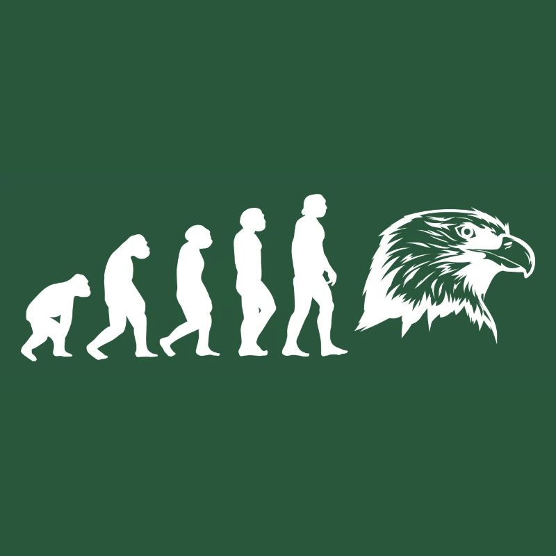 Evolution Falkner