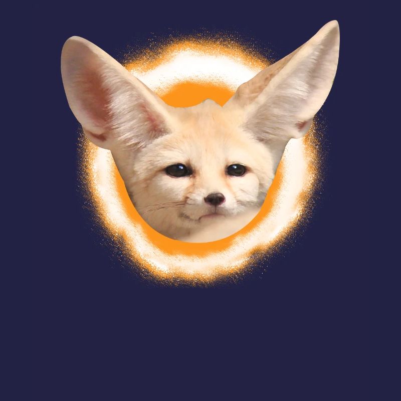 Fennek desert fox fox fox gift