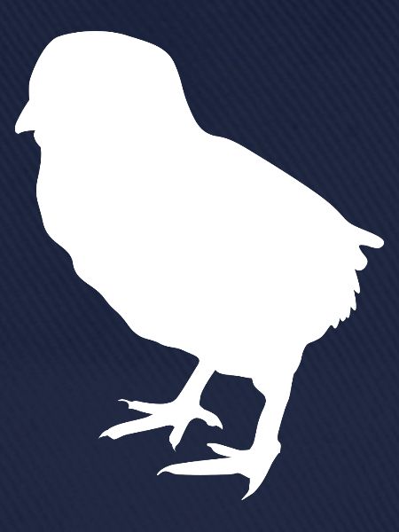 poussin