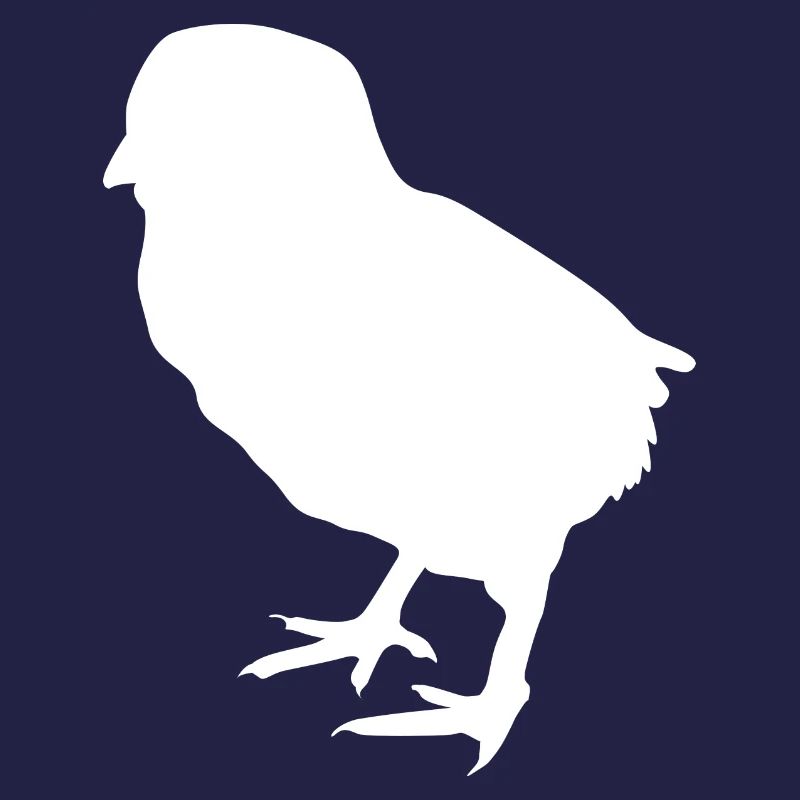 chick