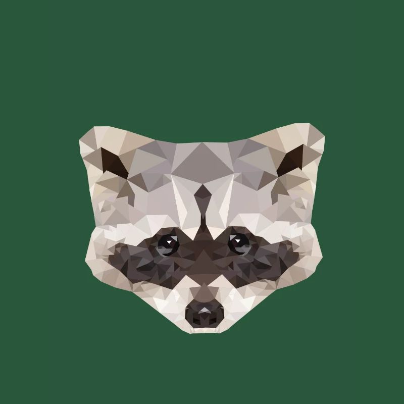 Waschbär Polygon