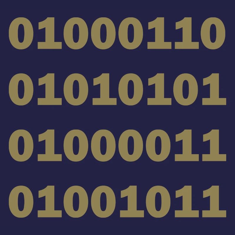 Binary Code Fuck