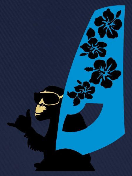 windsurfer
