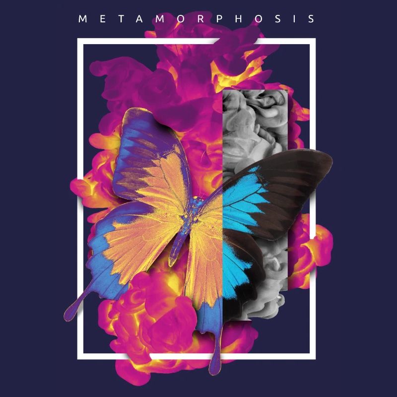 MÉTAMORPHOSE CONCEPTION ASTUCIEUSE DE PAPILLON